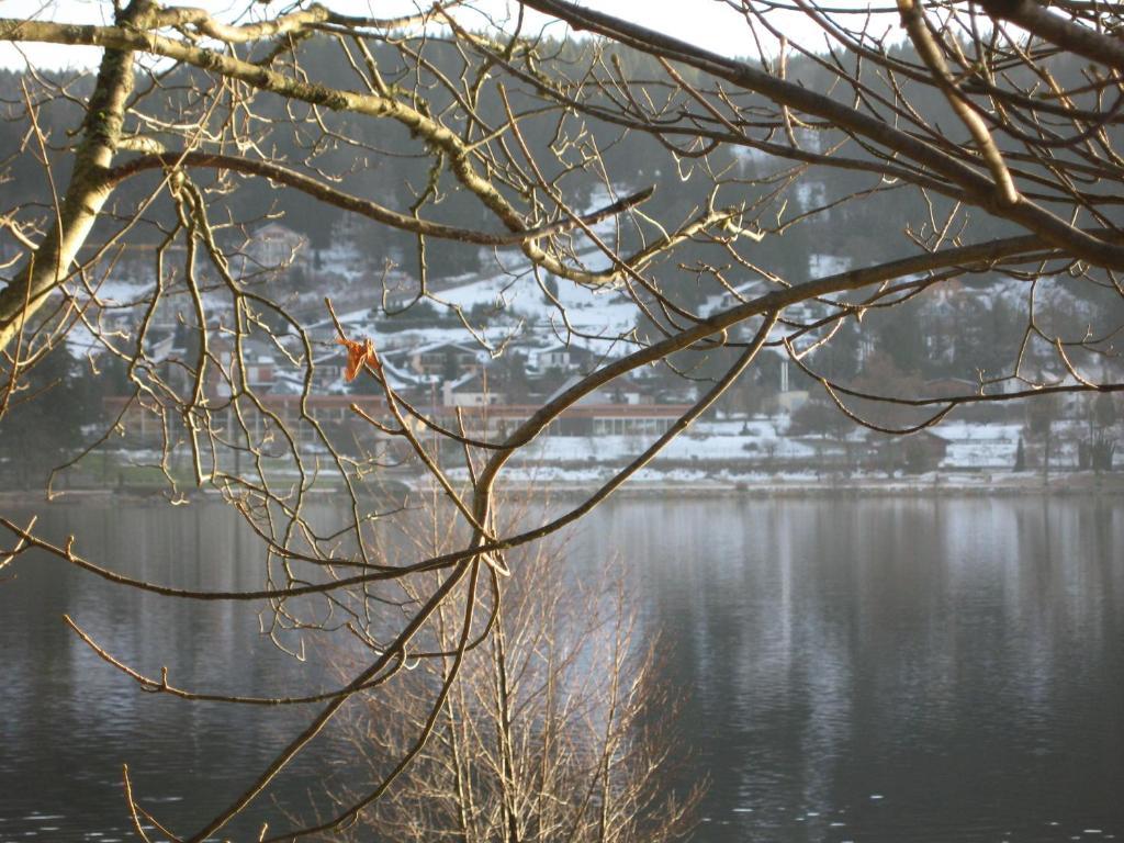 Hotel Restaurant De La Poste A Gerardmer חדר תמונה